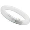 SYLVANIA fluorescente circolare 32 W/840 Sylvania