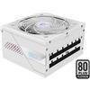 GIGABYTE AORUS ELITE P850W ICE Alimentatore - PCIe 5.0, 80 PLUS Platinum, Design completamente modulare, Ventola da 120 mm, Comp - GP-AE850PM PG5 ICE