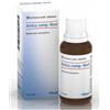 GUNA SPA Heel Arnica Composto Gocce 30 Ml