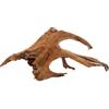 Zolux Racine Mangrove Small Legno Acquario 15-25cm