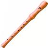 Hohner B9501 German Flauto Soprano Diteggiatura Tedesca con Custodia