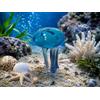Nauticalia Gioiello In Vetro Di Medusa Miniatura 4Cm Blu Oceano - Straordinario