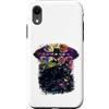 Warner Bros. Custodia per iPhone XR Batman | Merch ufficiale del film Batman Forever | WBUBTF01
