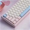 Sumgsn Set di 164 copritasti traslucidi rosa traslucido in PBT, con profilo ciliegio doppio, adatti per tastiere meccaniche Cherry Mx 61/64/87/104/108 (rosa)