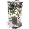 Verdemax Serra per pianta verdemax pop up citrus 90x150 cm