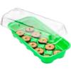 Mini serra masidef con 10 vasetti 26x11x7 cm