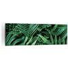 ARTTOR Stampe da Parete Moderne 160x50 cm Quadro su Tela Botanica Natura - 4746 | Esotico Foglie Monstera Quadro Decorativo XXL 1 pezzo Soggiorno Camera da Letto Arte da Parete Decorazione da Parete ARTTOR