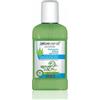 Sapone liquido vegetale Mirtillo