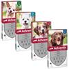 Elanco italia spa Advantix Spot-on Per Cani Oltre 40 Kg Fino A 60 Kg