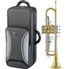 Jupiter JTR701Q Tromba in Sib con custodia