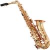 SoundSation SALSX-20 Sax Sassofono Contralto in Mib Chiave Fa con custodia