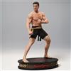 Infinite Statue BLOODSPORT - Frank Dux 1/10 Pvc Figure Icon X Infinite Statue