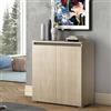 Dmora - Scarpiera Calla, Mobile multiuso, Porta scarpe salvaspazio a 2 ante, Armadio portaoggetti con scaffali, 100% Made in Italy, 80x37h102 cm, Olmo