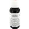 LABOR VILLA STODDARD Srl Lvs 67s Echinacea Purpurea Com