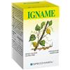 SPECCHIASOL Srl IGNAME ERBE 60TAV