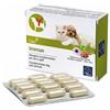 CAMON SpA IMMUN 60CPR