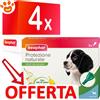 Beaphar Dog Protezione Naturale Spot-On Cucciolo - Offerta [PREZZO A CONFEZIONE] Quantità minima 4, Confezione da 3 Pipette