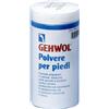 DUAL SANITALY SpA SOC.BENEFIT Gehwol Polvere Piedi 100g