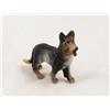Bertoni Animale Presepe Cane Pastore Modellismo Bertoni Cm7x6