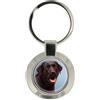 Family-crests Portachiavi Labrador Retriver Cioccolato