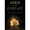 Daniel Donoghue Gold in the Furnace (Tascabile)