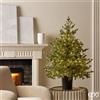 EDG Enzo De Gasperi Albero di Natale Pino Argentato H 120 cm D 99 Cm con 480 Led