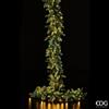 EDG Enzo De Gasperi Festone Natale Pino Luxury 270 Cm 170 Led