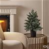 EDG Enzo De Gasperi Albero di Natale Pino Argentato con Vaso H 60 Cm D 48 Cm Sage