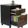Relaxdays Contenitore su rotelle, 2 cassetti (1 per cartelle sospese), HLP: 57 x 40 x 40 cm, da scrivania, marrone/nero