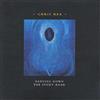 Chris Rea Dancing Down the Stony Road (CD) Album