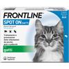 Boehringer Ingelheim Frontline Spot On Gatti
