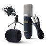 Marantz Professional MPM-1000 - Microfono da Studio a Condensatore XLR con Supporto da Tavolo e Cavo per Podcast, Streaming, Canto, Telelavoro e Giochi