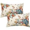 Artoid Mode Set 2 Federe Cuscini Autunnali Zucche Piante Blu 30x50cm | Stagionali Fall Decorazioni per Divano Salotto