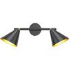 KnLnny Ware 2 Luci Nera Industriale Lampada da Parete e Soffitto, 350° orizzontale e 90° verticale regolabile con attacchi E14, Nero esterno Oro interno Lampada in Metallo Vintage, Senza Lampadine