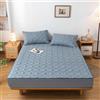 MCBHSH Coprimaterasso Matrimoniale con Cerniera、Copri Proteggi Materasso Imbottito, Singolo Proteggi Materasso con Angoli Letto Traspirante Lenzuolo-D-80×200+10cm
