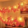 XVZ Catena Luminosa di Foglia Acero, 3 Metri 20 LED Con Timer, a Batteria - Decorazione per Autunno Halloween Natale - Foglie Acero Rosso