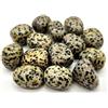 Generico ALCHIMIA- Pietra burattata cm.2-3 cristalloterapia 1 pezzo Diaspro dalmata