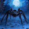 TFSZE Ragno di Halloween,Ragno Gigante Halloween 200cm Halloween Ragno Peloso Gigante Decorazione di Halloween Giant Spider Spaventosa Ragni per Halloween Feste Esterno Giardino Decorazioni