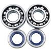 HavenlyCove Kit cuscinetti per motosega 738 22 02-25 per modelli 357 359 357XP - Parti di ricambio paraolio per un funzionamento regolare - Componenti in metallo argento - Set da 5 pezzi (componente 2)