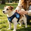 Generic Dog Tag, Smart Tracker Holder Cute Cartoon Animal Pin Case | Spillo nascosto di sicurezza del modello mitico circolare, dispositivo universale leggero del protettore di posizione perso