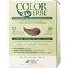 Colorerbe Multipack 6x TINTURA COLOR ERBE BIO CASTANO CHIARO DORATO (5.3)-Colorazione Permanente in Gel-Senza Ammoniaca,Resorcina,Parabeni-Copertura Ottimale Capelli Bianchi-Nutre-Protegge-Illumina-MadeInItaly