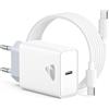 Aioneus Caricatore USB C, 20W Caricabatterie Rapido PD con Cavo USB-C a USB-C da 2M 60W, Alimentatore Spina USBC per iPhone 17 16 Pro Max 15 Plus, Samsung Galaxy S26 S25 S24, iPad Pro Air, Pixel Cellulare