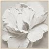 DRW Quadro su Tela con Fiore e Cornice in Legno Bianco e Naturale, 100 x 100 x 3 cm