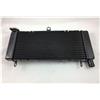 TERAM LOISIRS - Radiatore per Honda 600 Hornet 1998 1999 2000 2001 2002 2003 2004 2005