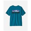 Patagonia Fitz Roy Foothills M - T-shirt - Uomo - Blu