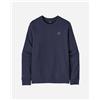 Patagonia Fitz Roy Massif Daily M - Felpa - Uomo - Blu