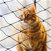 Parain Rete di protezione per gatti per balcone, finestra, filo rinforzato, robusta rete di protezione 6 x 3 m