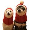 DELIFUR Cappello da cane divertente natalizio con pompon Cappello da cane snood all'uncinetto Cappello da cane invernale caldo rosso lavorato a maglia per animali domestici e donna e uomo (Red,S)
