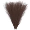 PATIKIL 50 pezzi Pampas Decor 21,7 pollici vaso matrimonio marrone scuro | Pampas artificiale soffice, erba finta essiccata, per decorazioni Boho, tavolo, parete