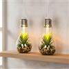 levandeo Set di 2 lampadine a LED per piante grasse, altezza 19 cm, colore verde, lampada decorativa da tavolo